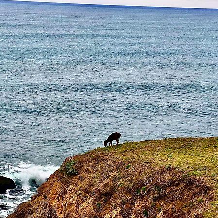 Inn Of The Lost Coast Shelter Cove Luaran gambar