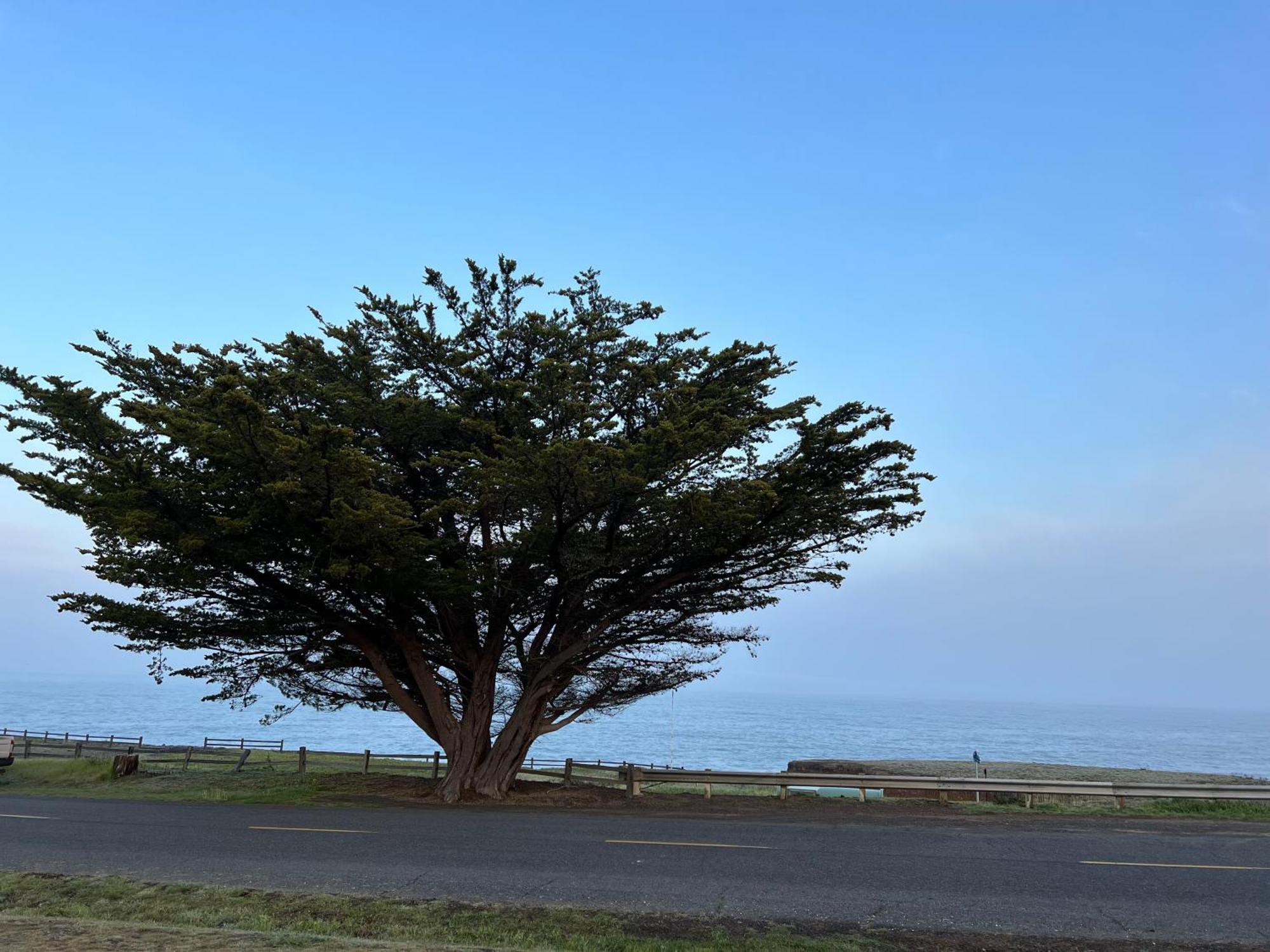 Inn Of The Lost Coast Shelter Cove Luaran gambar
